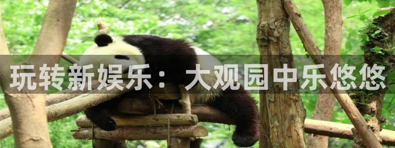 摩臣娱乐注册